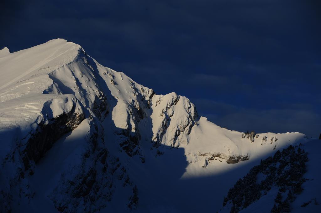Hotel Le Relais Alpin Les Mosses ภายนอก รูปภาพ